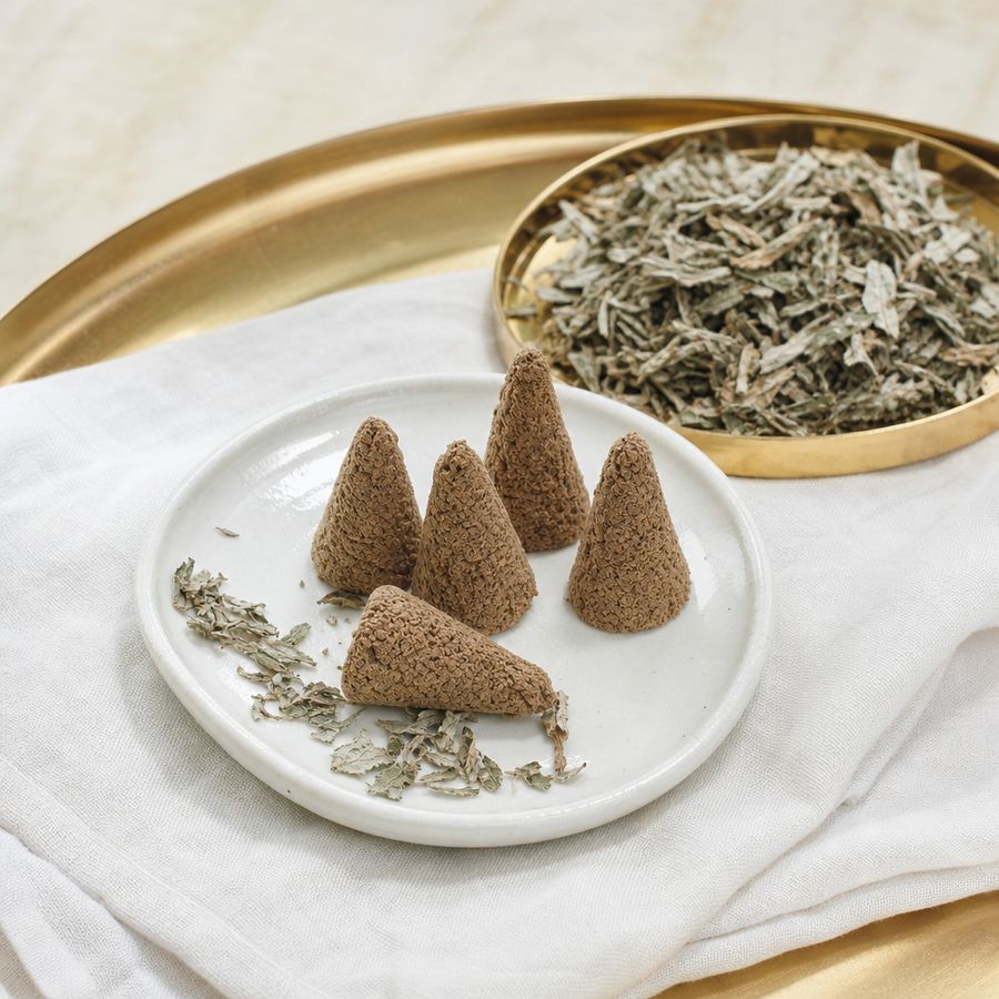 白い皿に並ぶお灸(もぐさ)の静物